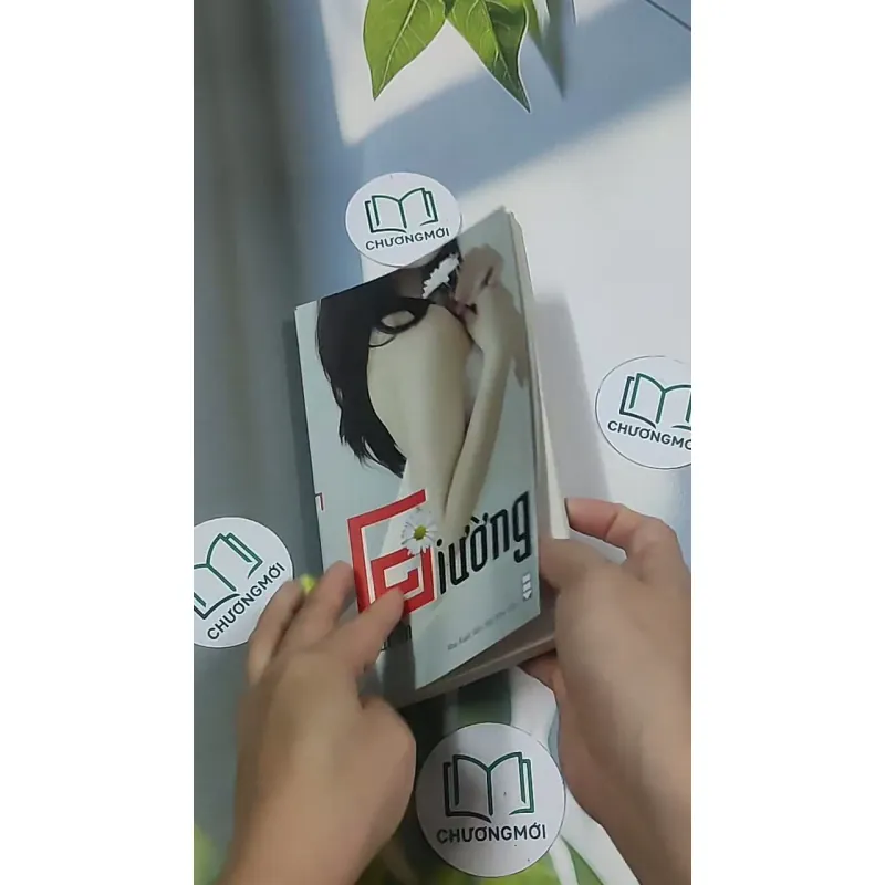 Giường - Phan An 694986