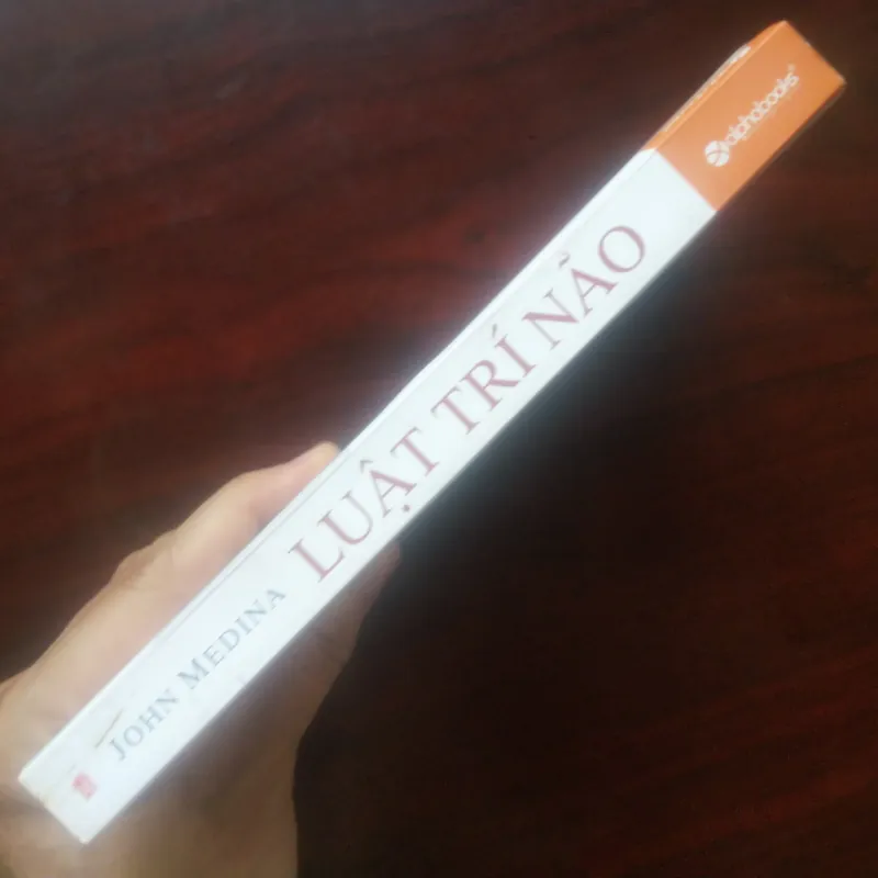 [Sách Tư Duy] Luật Trí Não (John Medina) - 12 Quy Luật Để Tồn Tại 990297