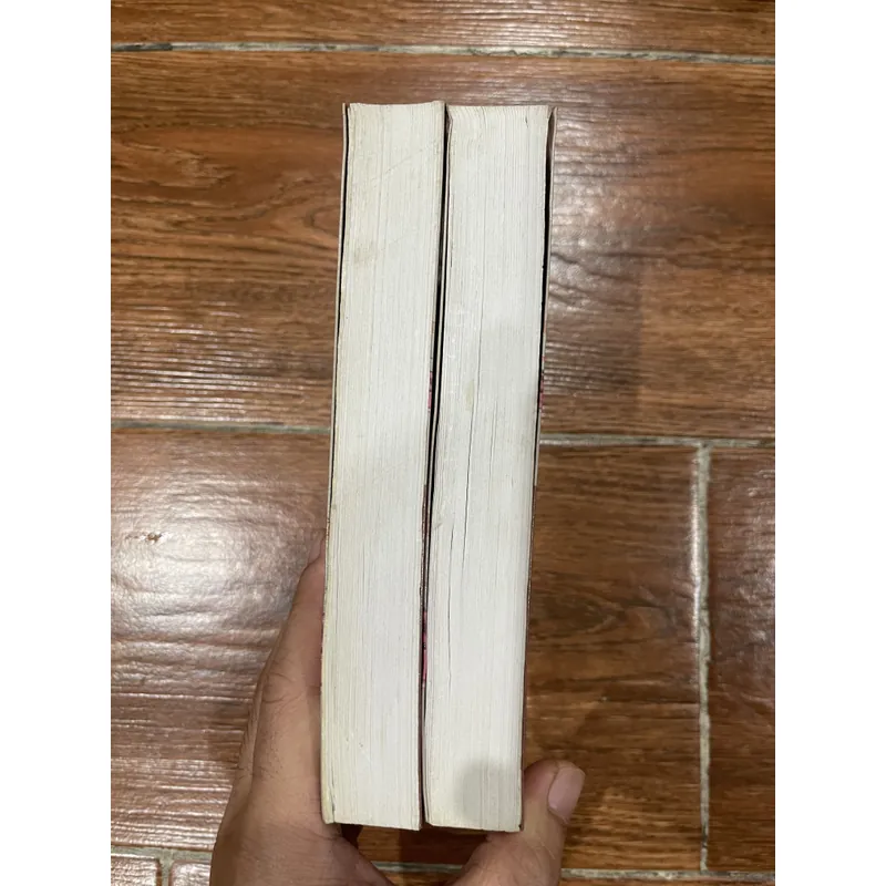 Phi Long Diễn Nghĩa full bộ 2 tập - Trương Minh Chánh (5) 740389