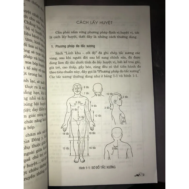 Massage trị bách bệnh bằng hình ảnh  723023