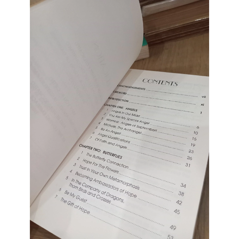 Of Angels, Butterflies, and Clowns - Earnest L. Tan 800531