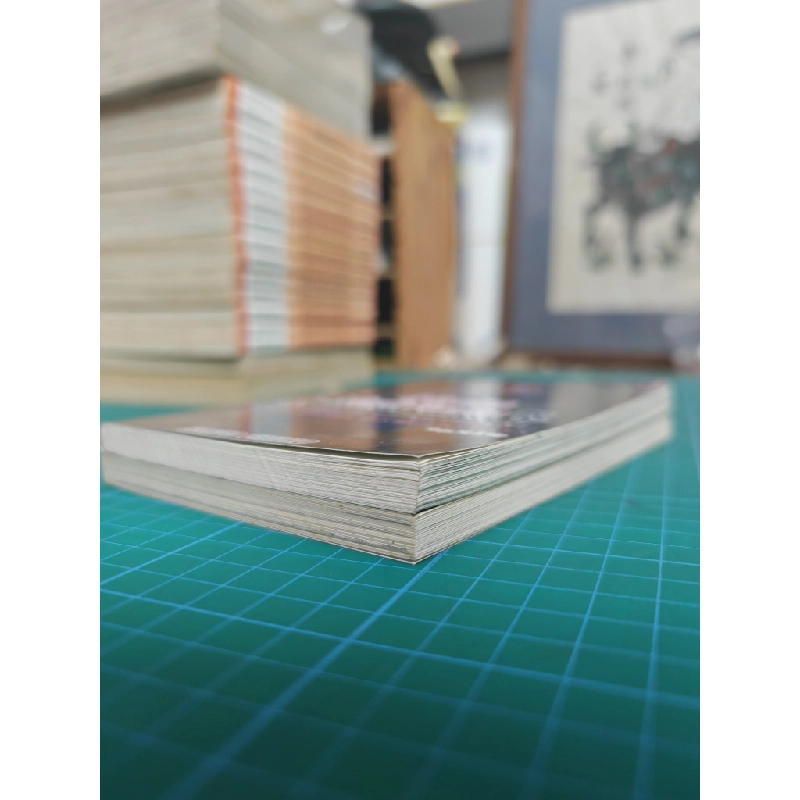Truyện tranh ngài tử tước phiêu lưu 478303