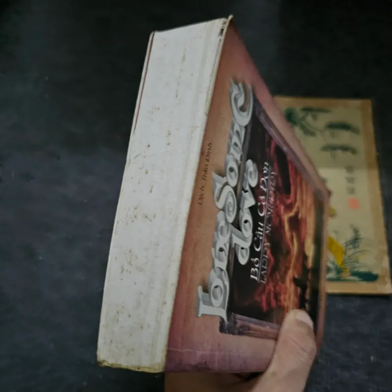 Bồ câu cô đơn 733059