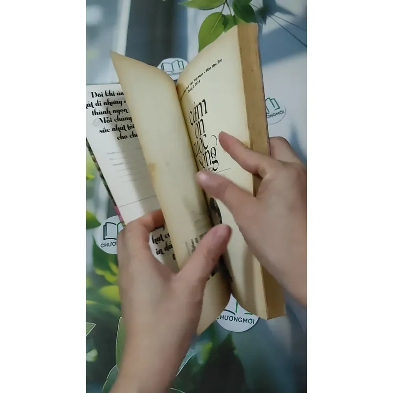 Cảm Ơn Cuộc Sống Một Lần Nữa 1018888