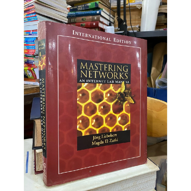 Mastering Network: An Internet Lab Manual, International Edition 324983