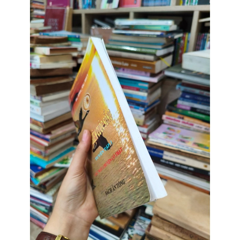 Màu nhiệm cuộc sống 🌱 510059