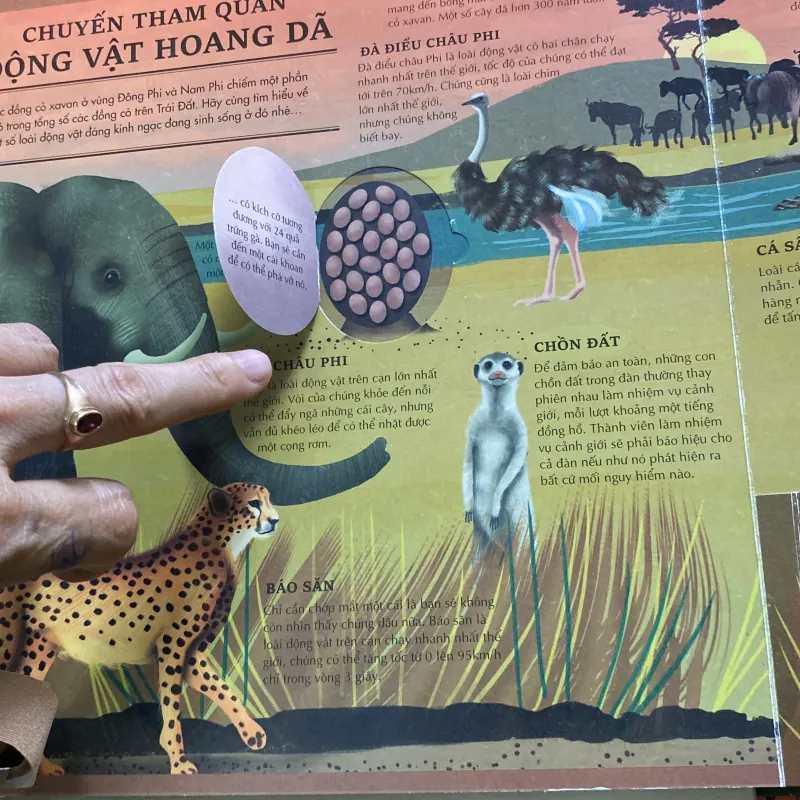 Atlas da tương tác  về động vật hoang dã 766035