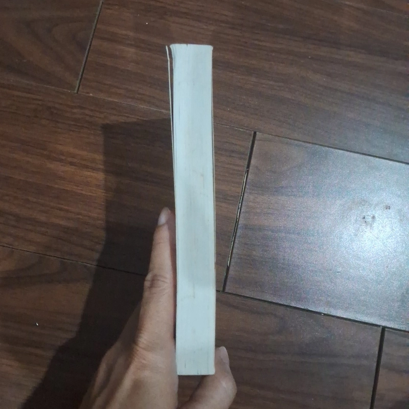 Từ điển thành ngữ tục ngữ việt nam 523238