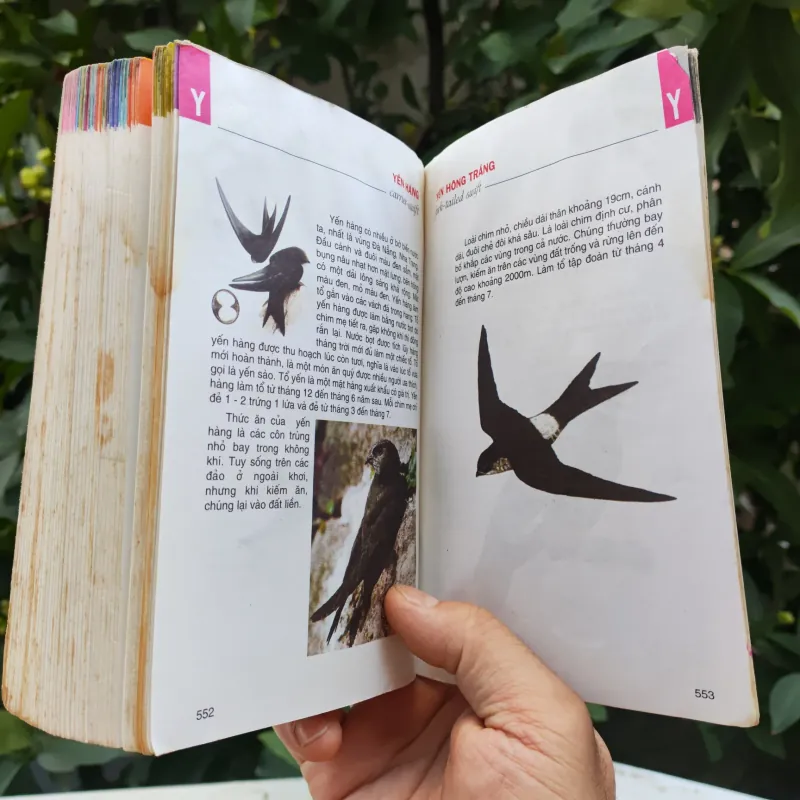 Từ Điển Tranh Về Các Con Vật - Lê Quang Long 753786