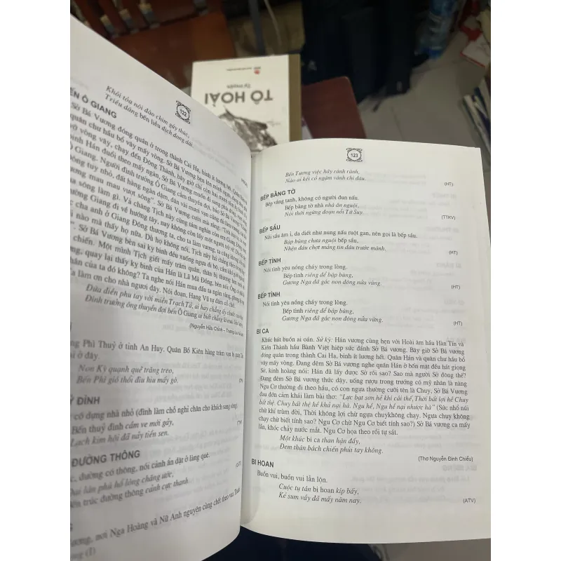 TIẾNG VIỆT TRONG THƯ TỊCH CỔ VIỆT NAM - THẠCH GIANG 934496