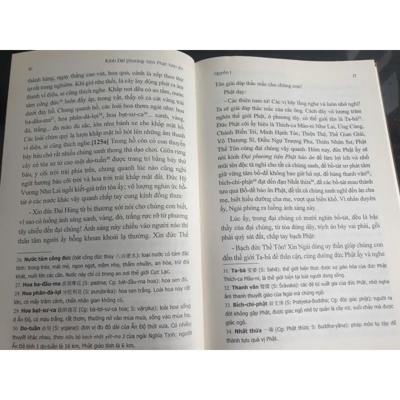 Kinh Đại Phương Tiện Phật Báo Ân 701756