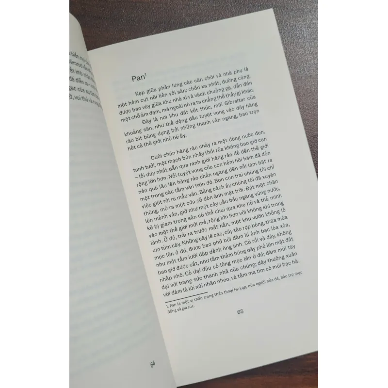 Những hiệu quế - Bruno Schulz 1025881