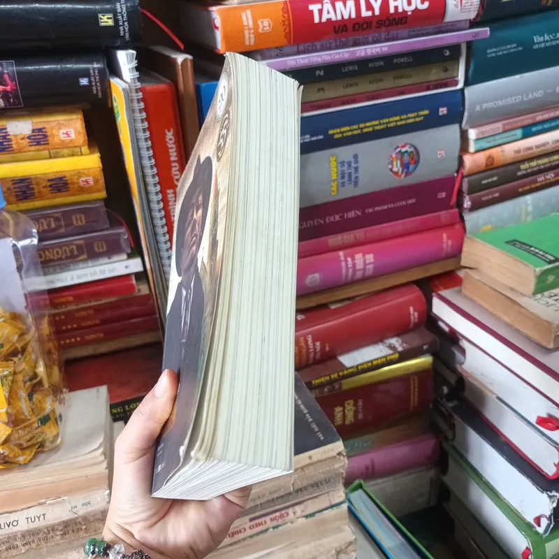 Bố Già - Mario Puzo 711409