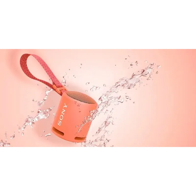 Loa srs-xb13 chính hãng, hàng mới, có bảo hành . 993493