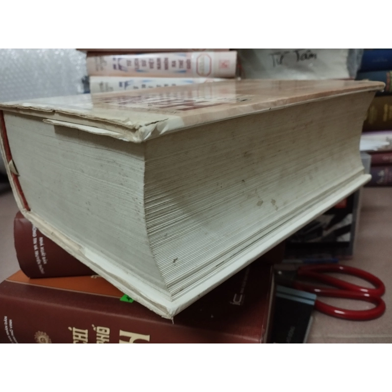 Hà Nội nửa đầu thế kỷ XX 500161