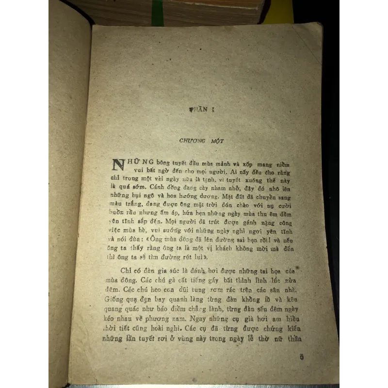 Mối tình Non-Ka   -   I-Vai-Lô Pê-Tơ- Rô 928439