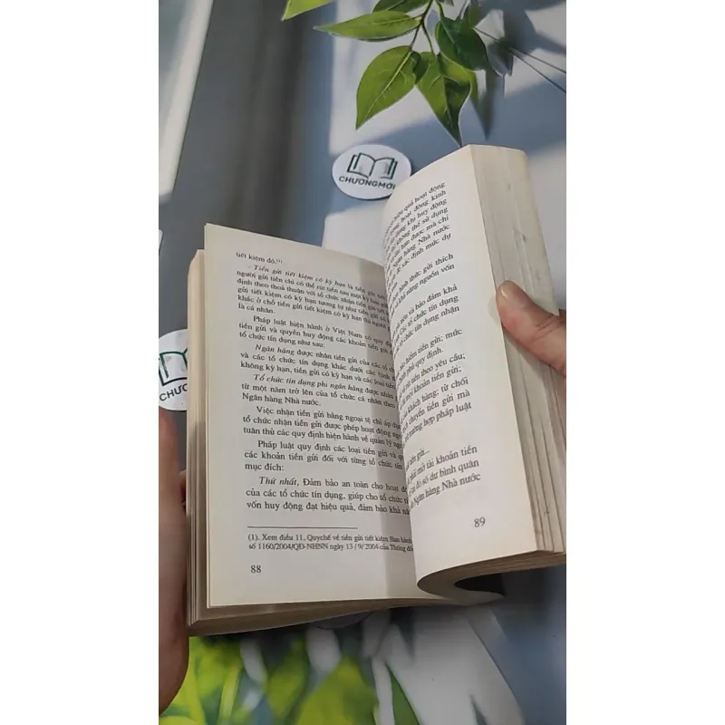 Giáo Trình Luật Ngân Hàng Việt Nam 727229