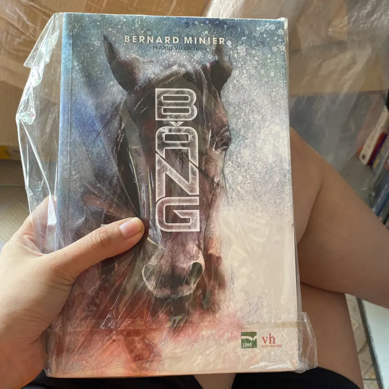 Băng Bernard Minier 574517