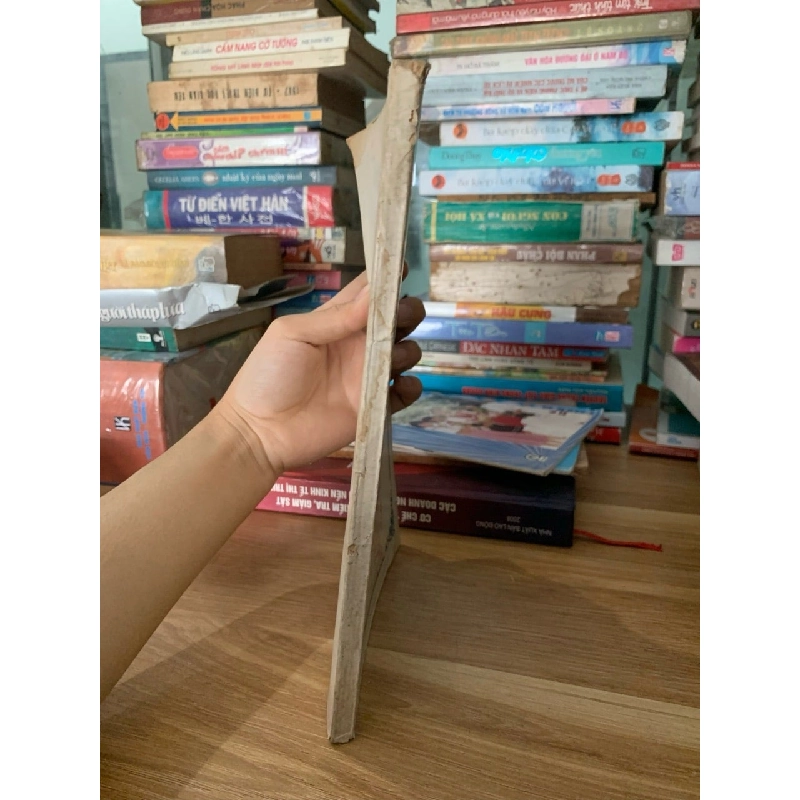 Hồi dương nhơn quả và Ngọc lịch minh kinh 750668