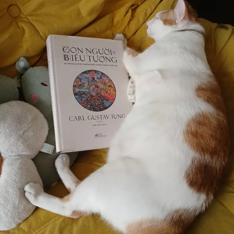 Con người và biểu tượng - Carl Gustav Jung 593069