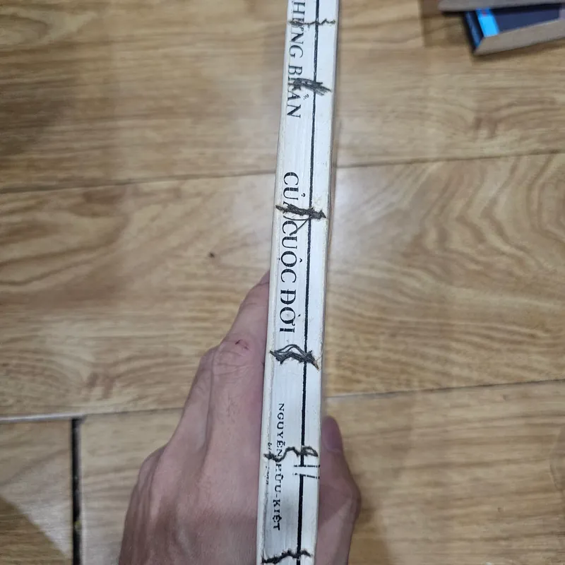 Những bí ẩn của cuộc đời
 709202