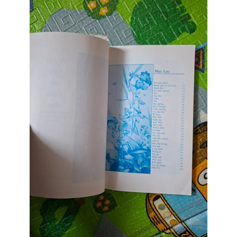 Ngôn Ngữ Các Loài Hoa 1025637