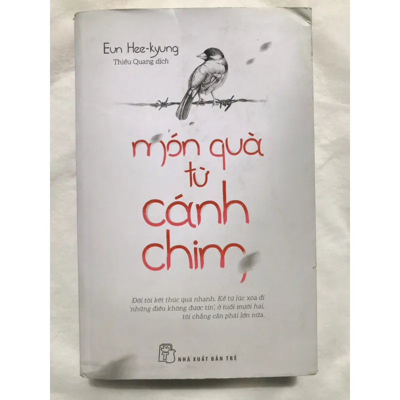 Món Quà Từ Cánh Chim 752158