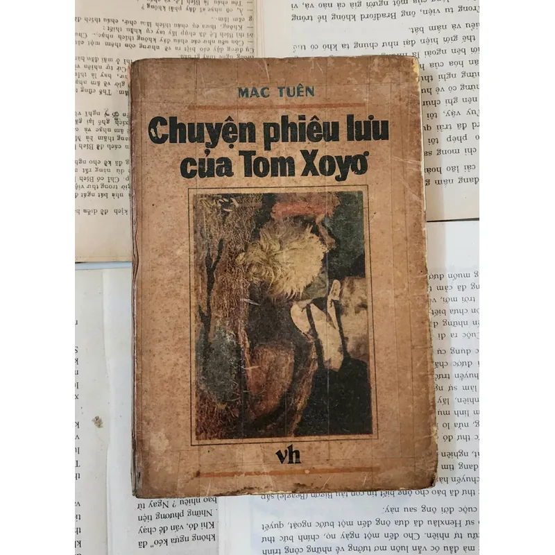 NHỮNG CUỘC PHIÊU LƯU CỦA TOM SAWYER - Mark Twain 716287