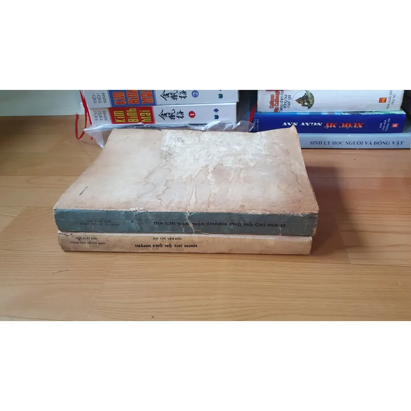 ĐỊA CHÍ VĂN HÓA TPHCM  762398