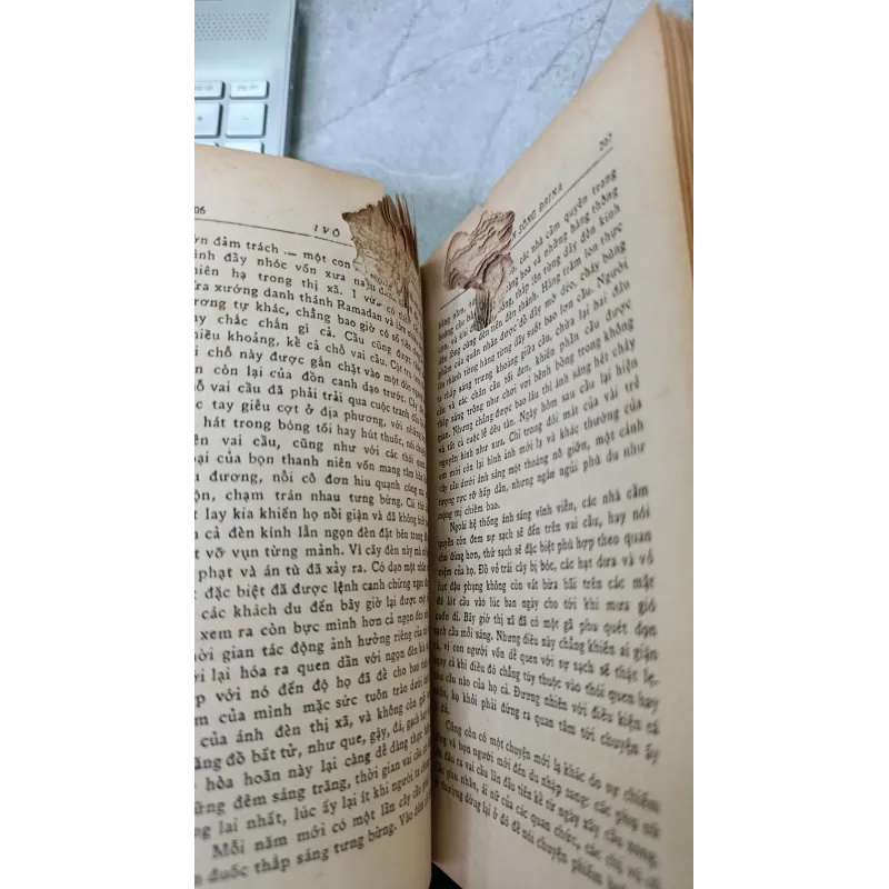 NHỊP CẦU TRÊN SÔNG ĐRINA - VƯƠNG ĐĂNG 748932