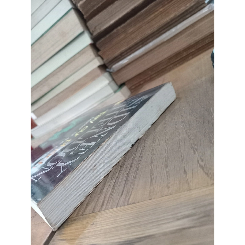 Tay cự phách - Lương Thị Thận dịch ( trọn bộ 2 tập ) 129717