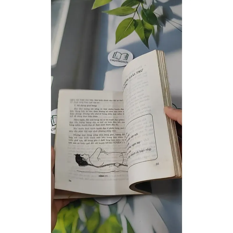 Phương Pháp Bấm Huyệt Chữa Bệnh - Phùng Lực Sinh 727233