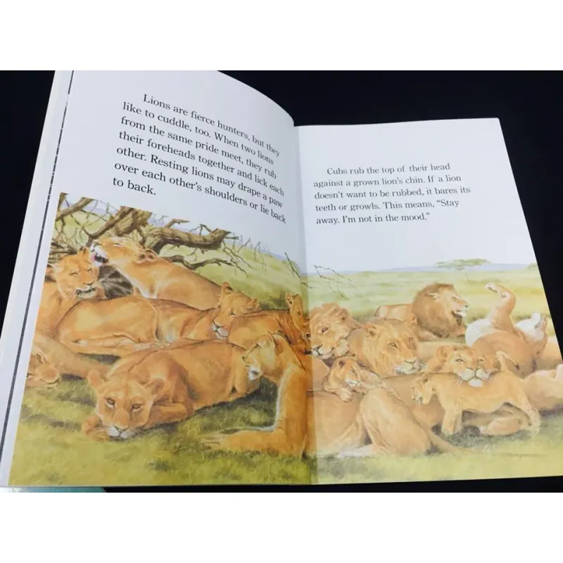 Step into reading level 4 (27 cuốn) 563301