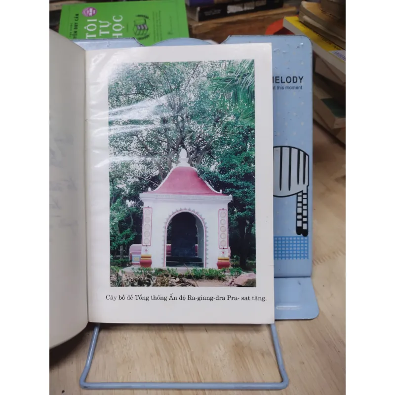 Sách: Những bài viết của hoà thượng Kim Cưởng Tử (B2) 796897