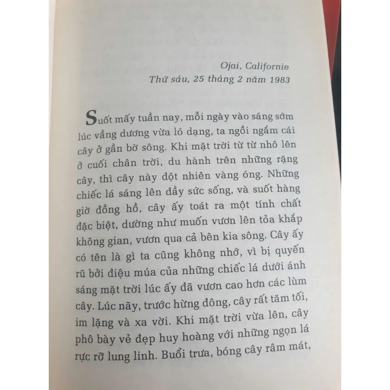 Nhật ký cuối cùng - J. Krishnamurti 747413