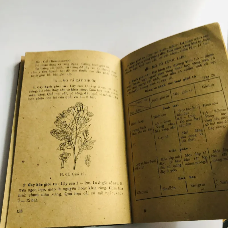 PHÂN BIỆT VÀ CHỐNG NHẦM LẪN DƯỢC LIỆU 1981 796540