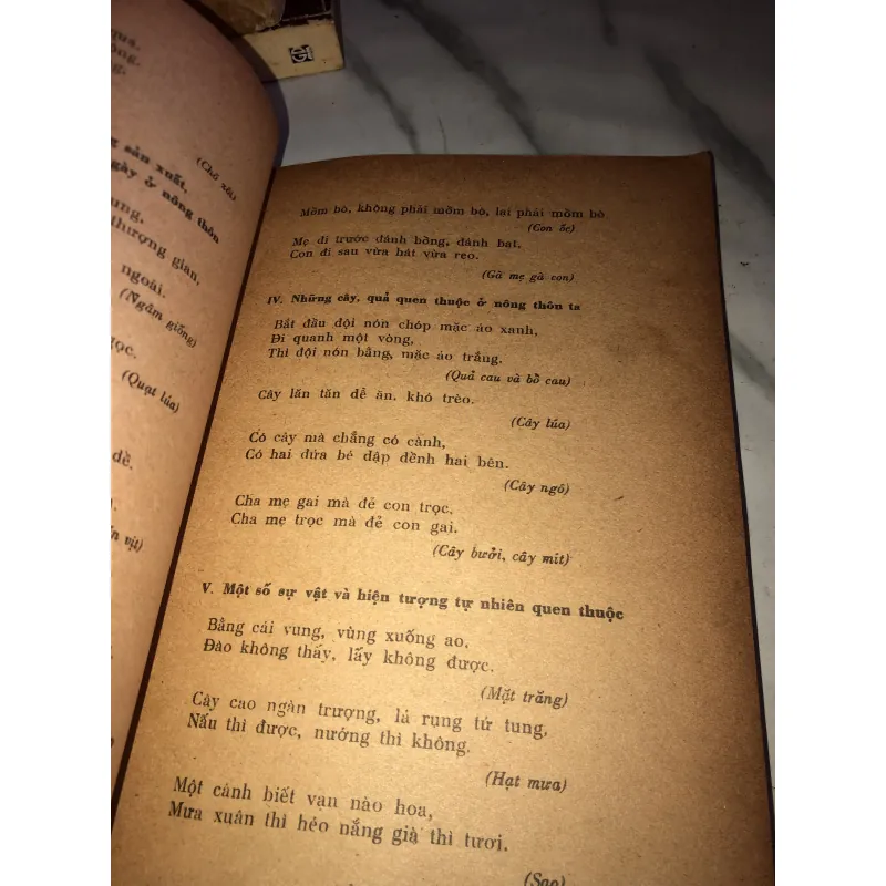 Thơ ca dân gian Việt Nam  990634