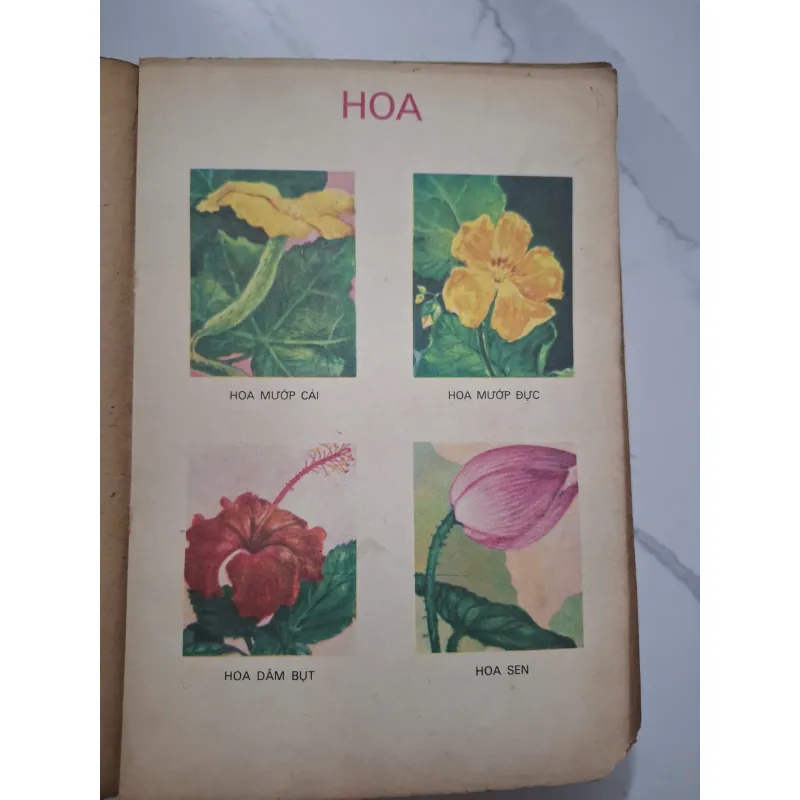 Từ điển học sinh - NXB Giáo dục 1972 - Từ điển học tập - tranh in màu 1006538