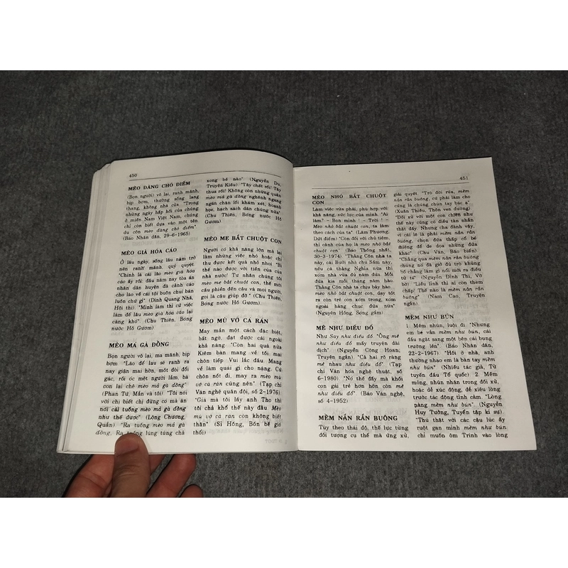TỪ ĐIỂN GIẢI THÍCH THÀNH NGỮ TIẾNG VIỆT 551800