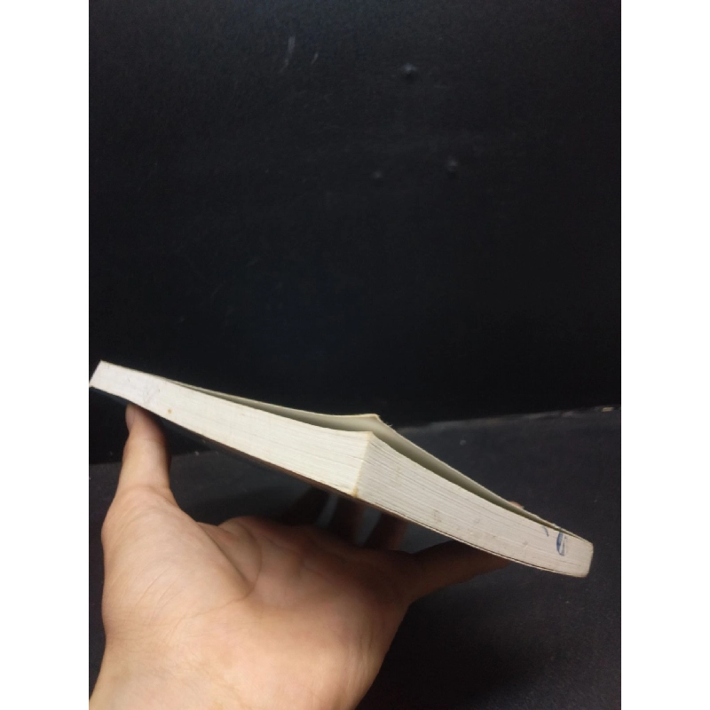 Bình an trong nhân gian Hòa thượng Thích Thánh Nghiêm năm 2012 mới 80% ố nhẹ HCM2602 tôn giáo 913044