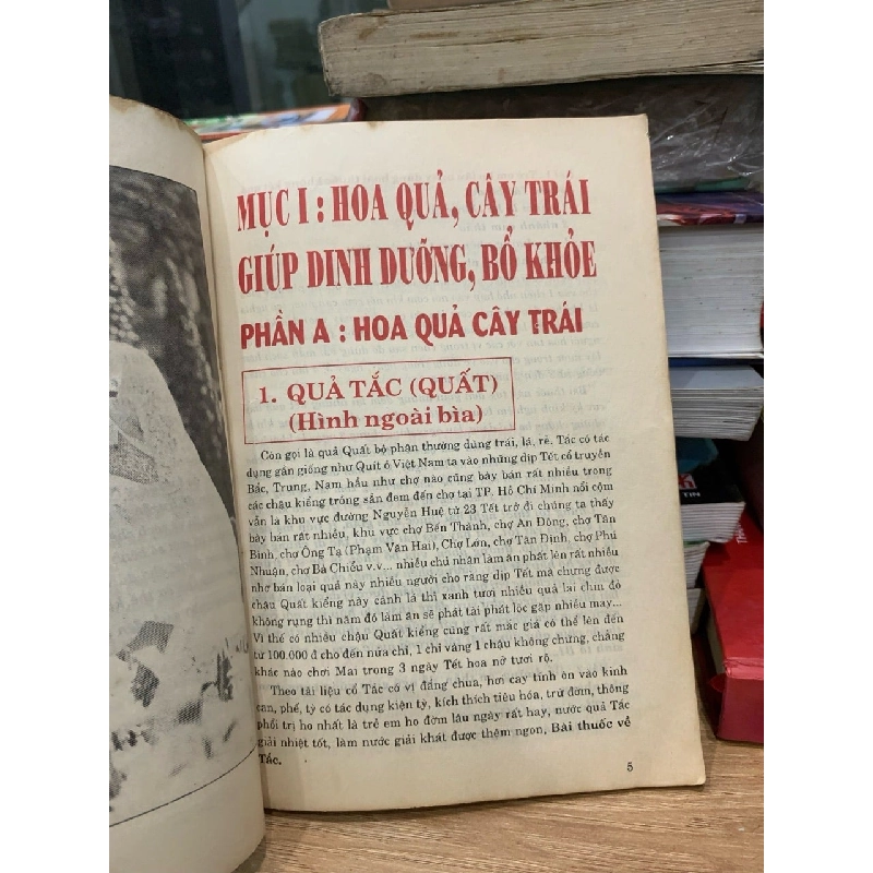 Hoa quả món ăn thay thuốc tập 1 -Nguyễn Văn Hoàn 751058