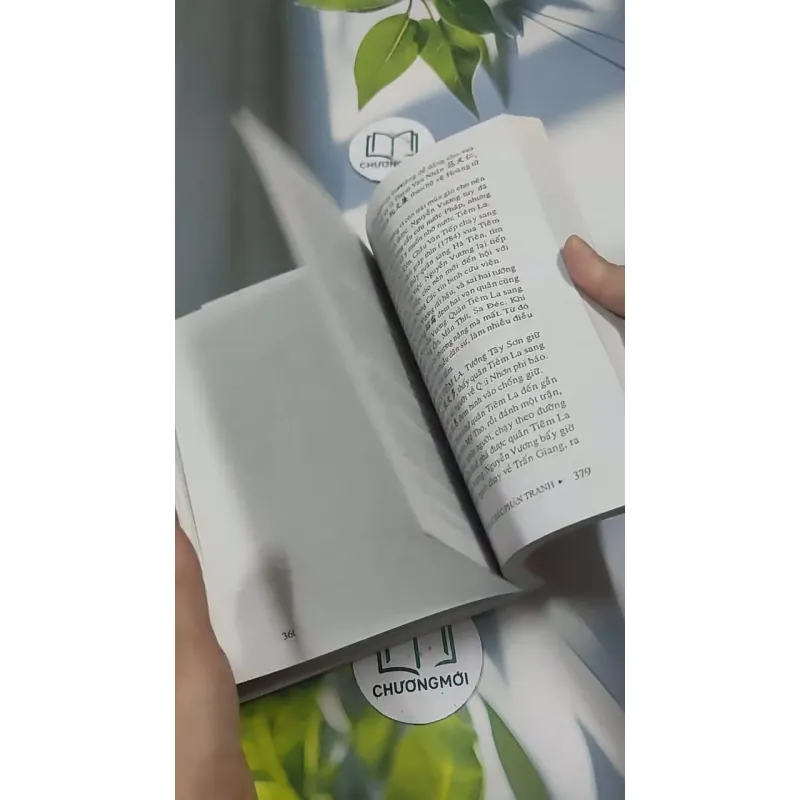 Việt Nam Sử Lược 715609