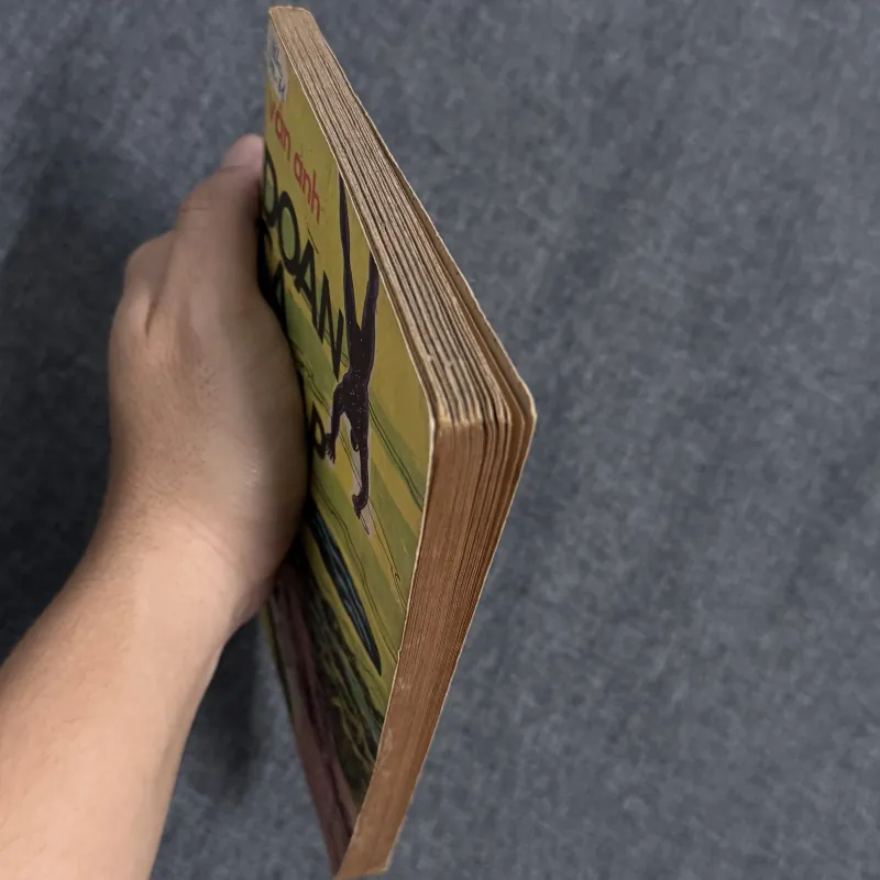 Đoàn cá mập sắt - Vân Ảnh 792054