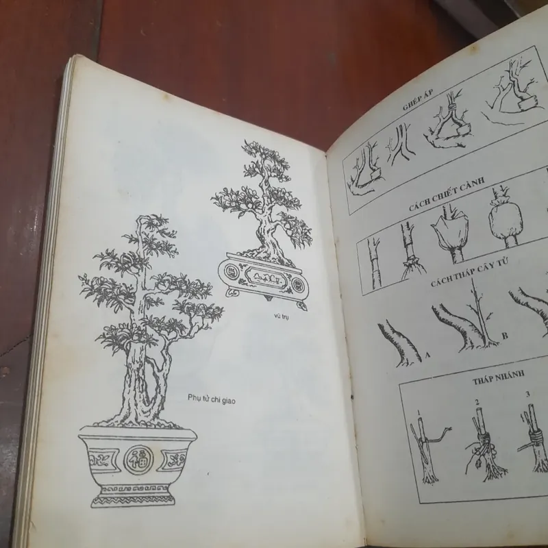Huỳnh Văn Thới - KỸ THUẬT TRỒNG và GHÉP MAI 573465