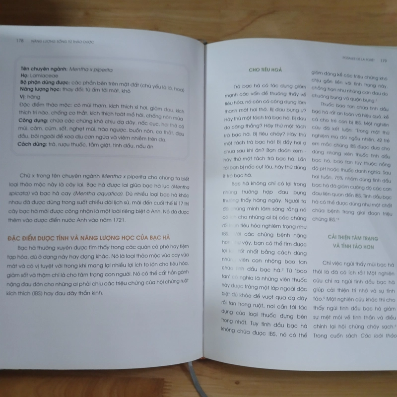 Năng Lượng Sống Từ Thảo Dược - Rosalee De La Forêt 529080