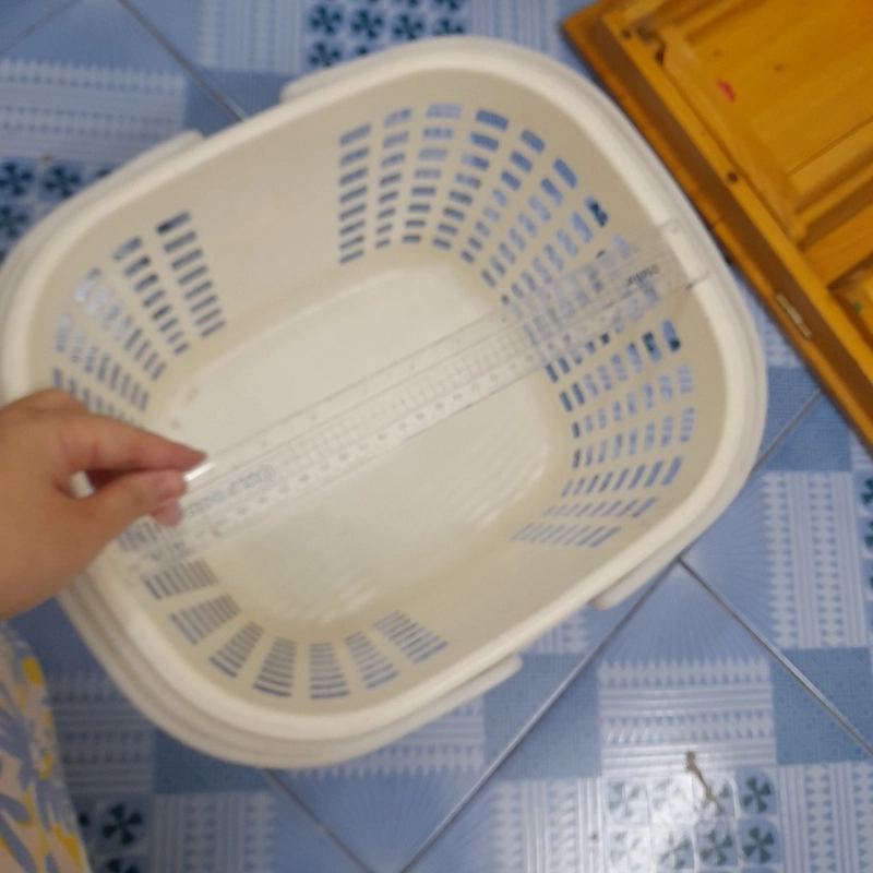 Rổ đựng đồ Daiso (Quà tặng miễn phí khi mua hàng) 517416