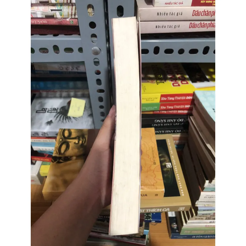 Lỡ yêu người hoàn hảo 990549