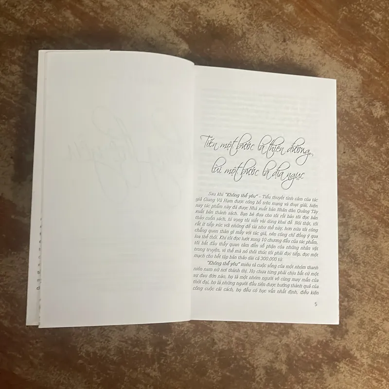 KHÔNG THỂ YÊU - GIANG VŨ HẠM (2) 711675