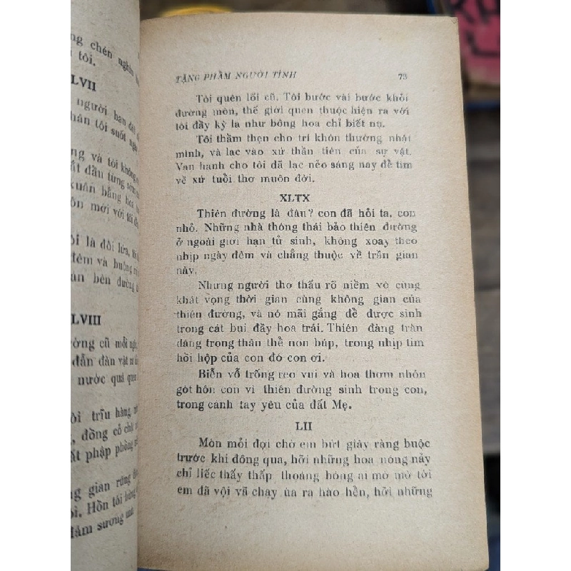 KHÚC HÁT DÂNG ĐỜI - TAGORE 304346