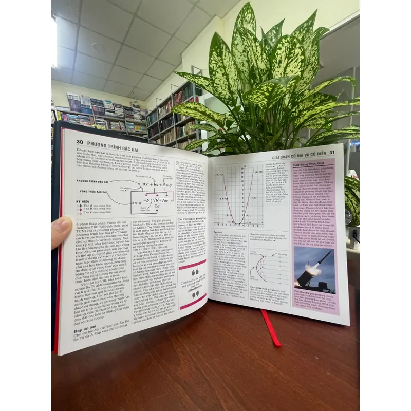 Khái lược những tư tưởng lớn - Toán học, nữ quyền, xã hội học ( 3 quyển)  703258